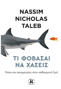 ΤΙ ΦΟΒΑΣΑΙ ΝΑ ΧΑΣΕΙΣ - ΡΙΣΚΑ ΚΑΙ ΑΣΥΜΜΕΤΡΙΕΣ ΣΤΗΝ ΚΑΘΗΜΕΡΙΝΗ ΖΩΗ 978-960-645-044-0 9789606450440