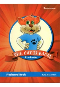 THE CAT IS BACK PRE-JUNIOR FLASHCARDS  9789963484027