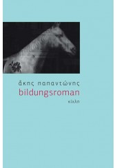 BILDUNGSROMAN