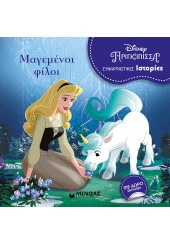 ΜΑΓΕΜΕΝΟΙ ΦΙΛΟΙ - DISNEY ΠΡΙΓΚΙΠΙΣΣΑ - ΣΥΝΑΡΠΑΣΤΙΚΕΣ ΙΣΤΟΡΙΕΣ