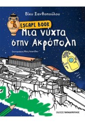 ESCAPE BOOK - ΜΙΑ ΝΥΧΤΑ ΣΤΗΝ ΑΚΡΟΠΟΛΗ