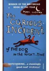 THE CURIOUS INCIDENT OF THE DOG IN THE NIGHT-TIME