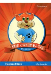THE CAT IS BACK PRE-JUNIOR FLASHCARDS