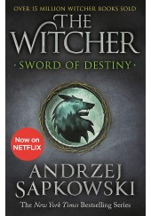 THE WITCHER 2- SWORD OF DESTINY