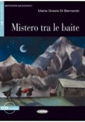 MISTERO TRA LE BAITE (+ AUDIO CD) LIVELLO A2