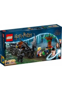 HOGWARTS CARRIAGE AND THESTRALS - LEGO HARRY POTTER 76400  5702017153414